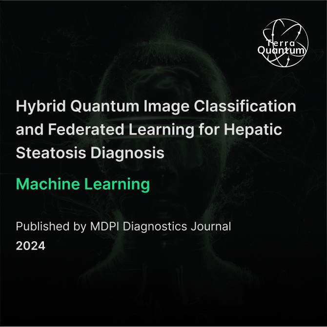 Hybrid Quantum Image Classification and Federated Learning for Hepatic Steatosis Diagnosis