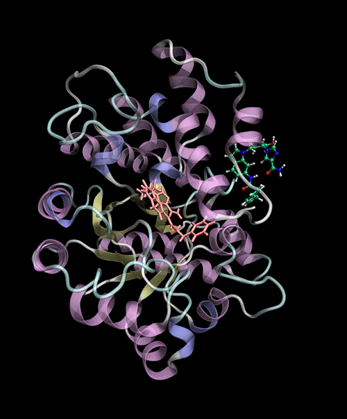 small molecule docking to proteins