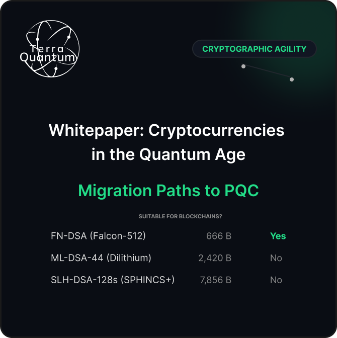 Cryptocurrencies in the Quantum Age: Migration Paths to PQC